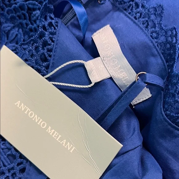 ANTONIO MELANI Mikaela Royal Blue Lace-tiered maxi dress - Picture 6 of 6